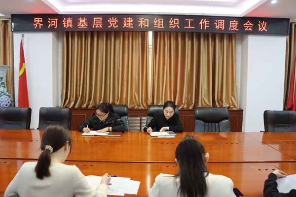界河镇在三楼会议室召开基层党建和组织工作调度会议.jpg