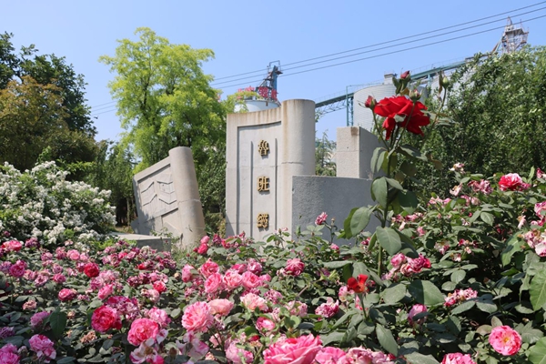 小图03.jpg