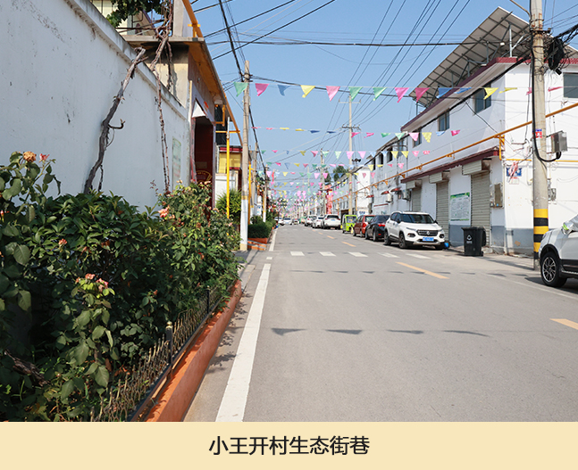 小王开村生态街巷.jpg
