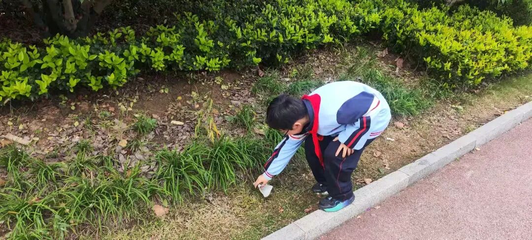 简篇-红领巾志愿行 至善学校小学部少先队员劳动实践活动