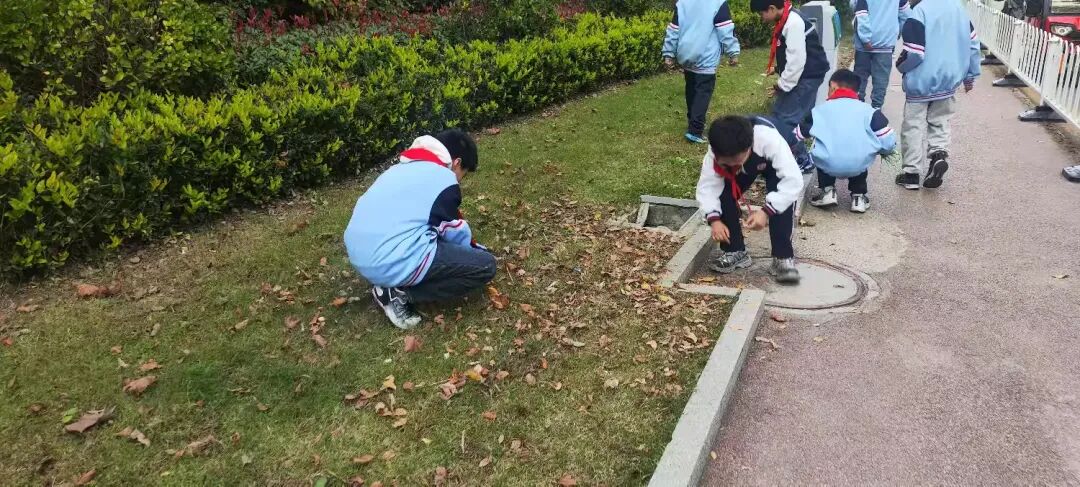 简篇-红领巾志愿行 至善学校小学部少先队员劳动实践活动