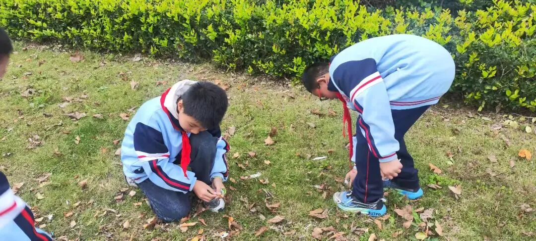 简篇-红领巾志愿行 至善学校小学部少先队员劳动实践活动