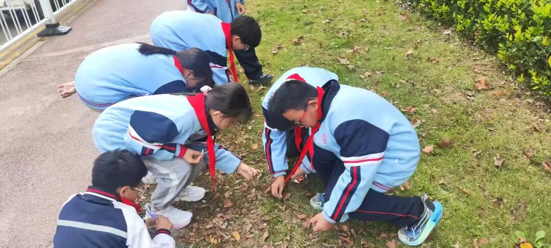 简篇-红领巾志愿行 至善学校小学部少先队员劳动实践活动